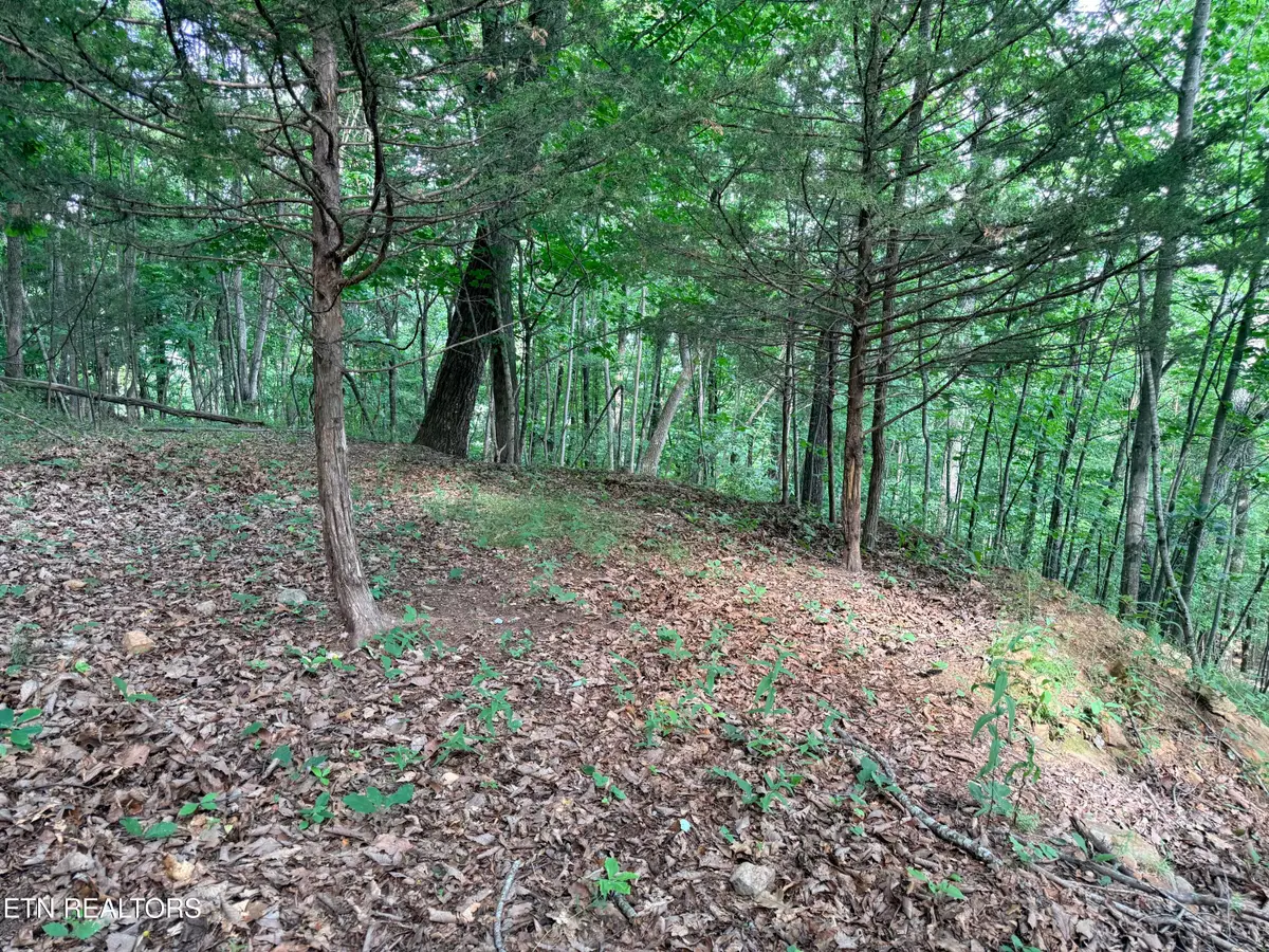 Lot 188 Chimney Rock Rd, New Tazewell, TN 37825 - #1