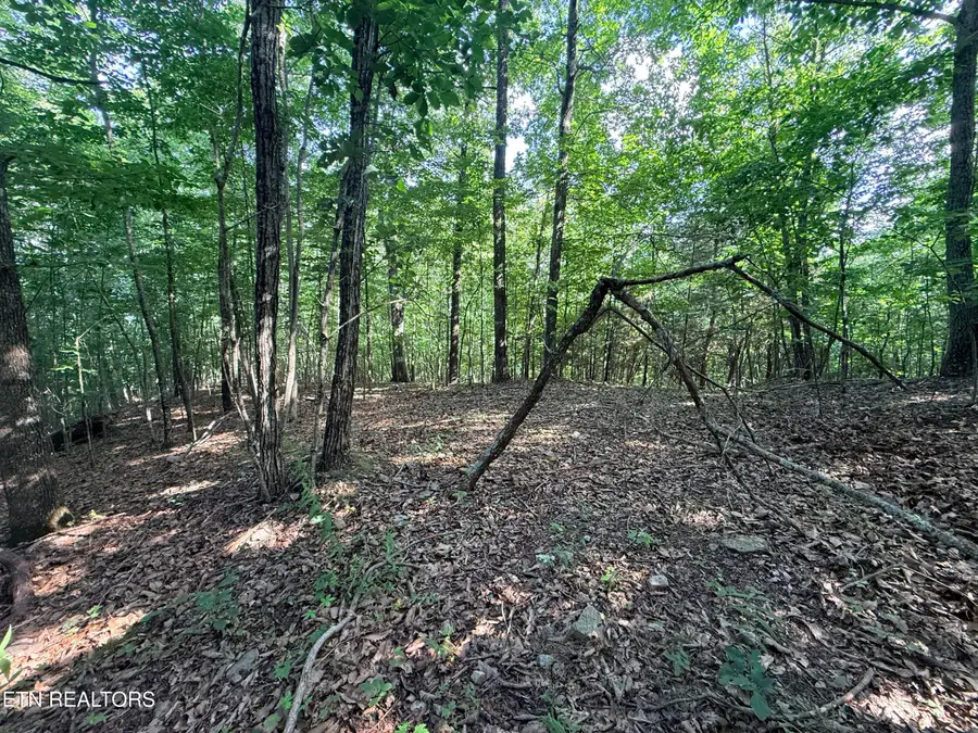 Lot 188 Chimney Rock Rd, New Tazewell, TN 37825 - #2