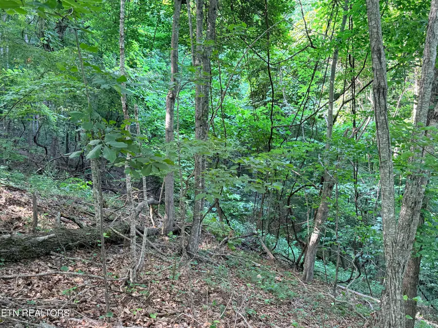 Lot 188 Chimney Rock Rd, New Tazewell, TN 37825 - #3