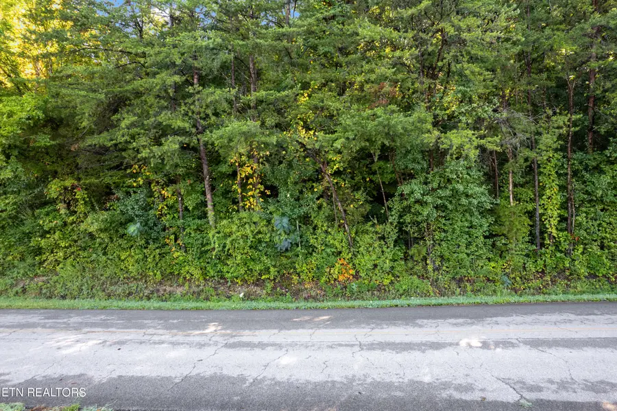 TBD Delozier Lane, Rockwood, TN 37854 - #2