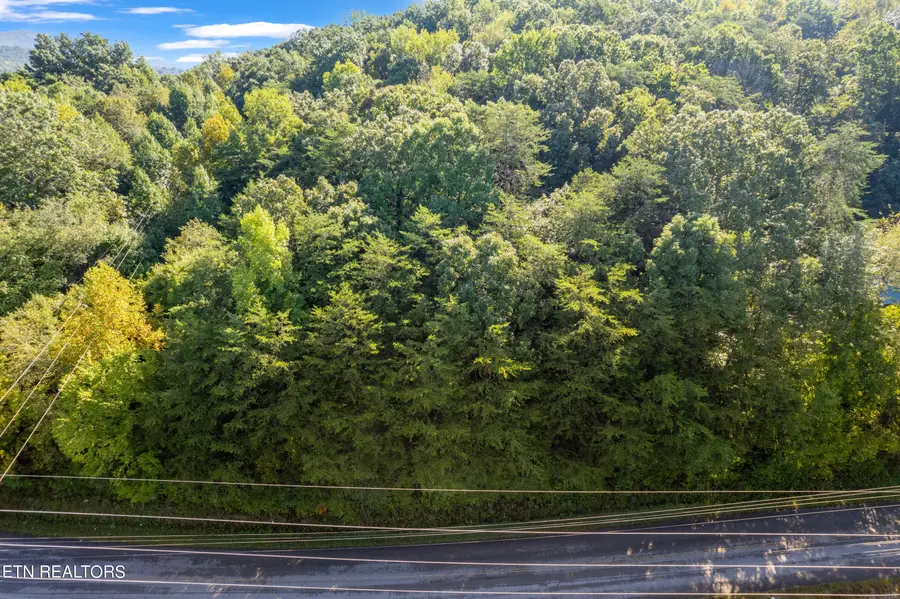 TBD Delozier Lane, Rockwood, TN 37854 - #3