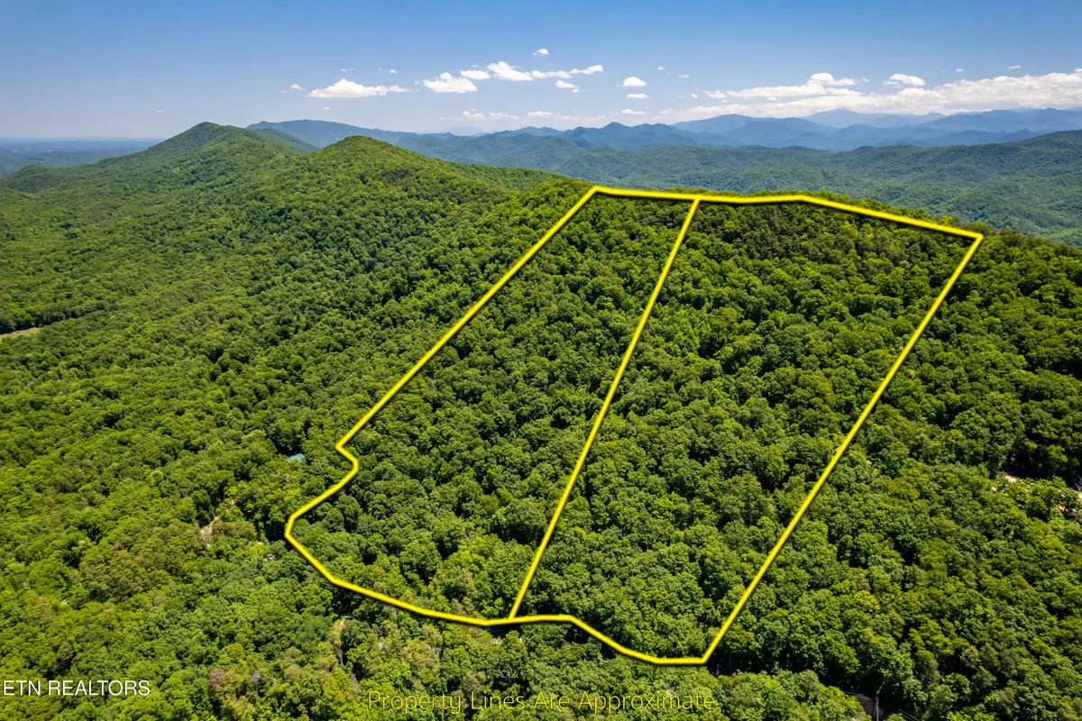 Butterfly Gap Rd, Maryville, TN 37803 - #1