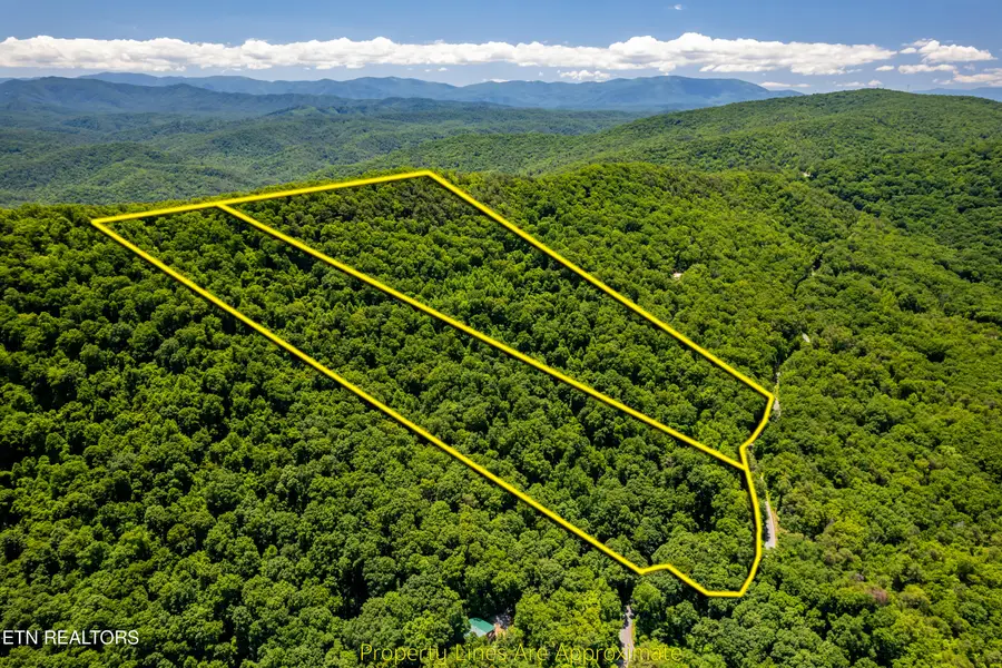 Butterfly Gap Rd, Maryville, TN 37803 - #2