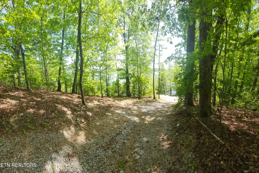 122 Thief Neck Drive, Rockwood, TN 37854 - #3