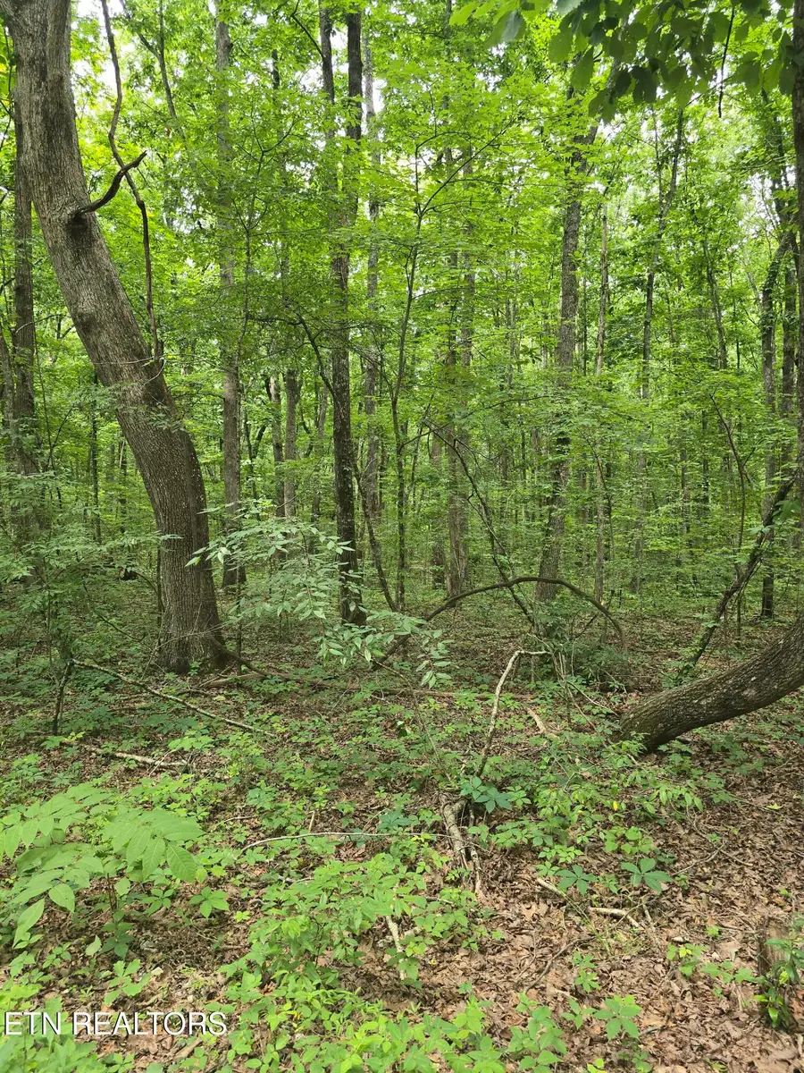 Lot 3 W Wind Way, Crossville, TN 38572 - #2