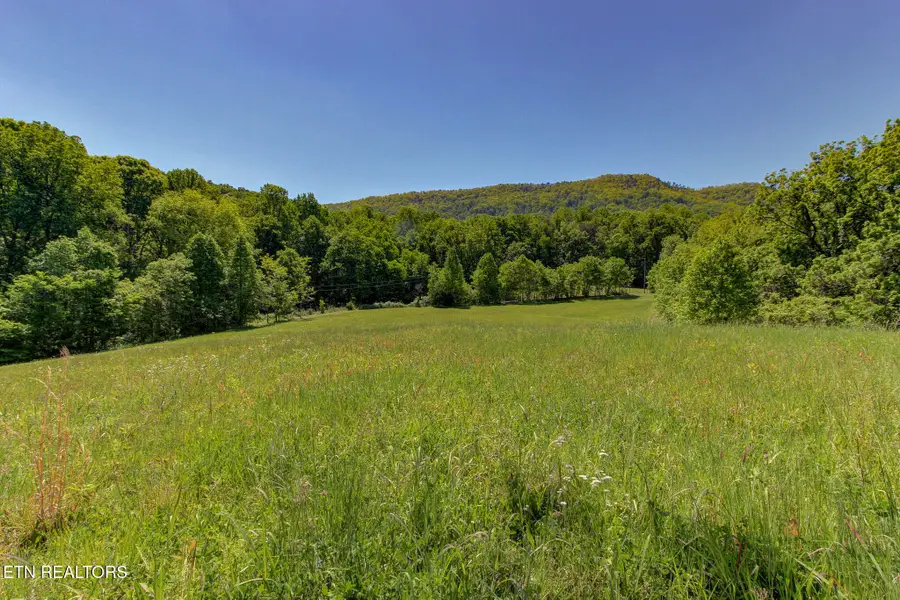 Lots 1-6R Thomas Cross Rd, Sevierville, TN 37876 - #2