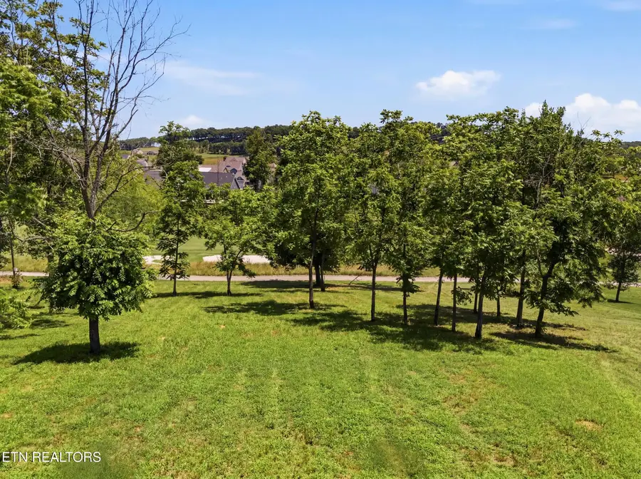 903 Mockingbird Lane, Loudon, TN 37774 - #3