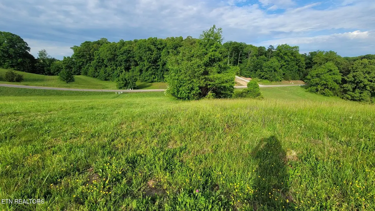 Shiloh Springs Rd, Rutledge, TN 37861 - #1