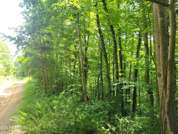 Lot 81 Buttonwood Drive, Sevierville, TN 37876