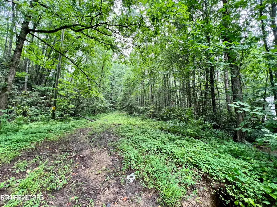 Sycamore St, Sevierville, TN 37876 - #3