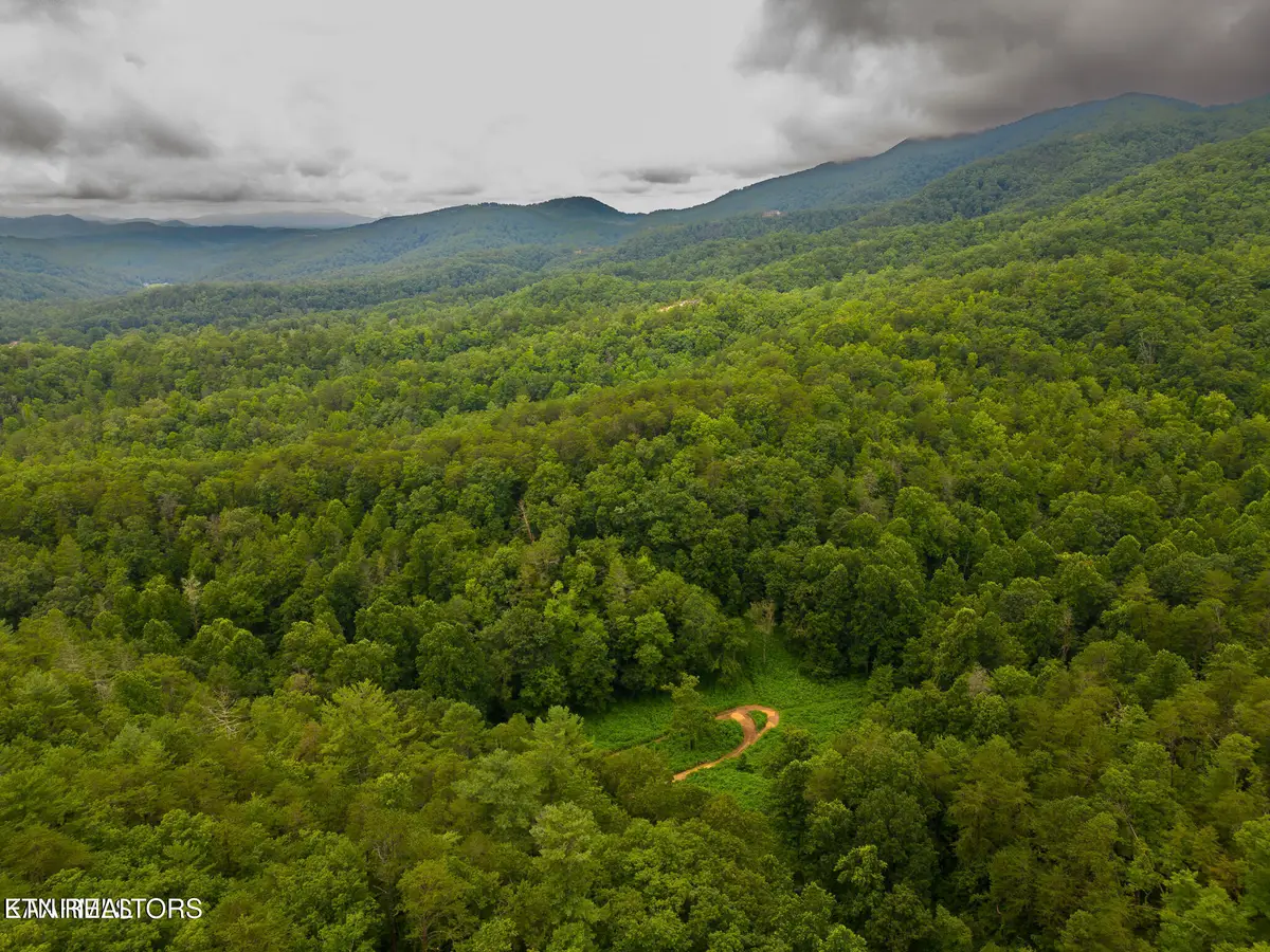 Azalea Tr, Sevierville, TN 37876 - #1