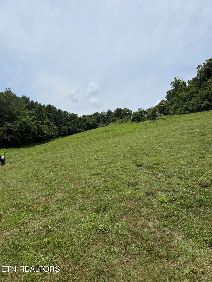 Parks Ferry Rd #Lot 1, Friendsville, TN 37737 - #3