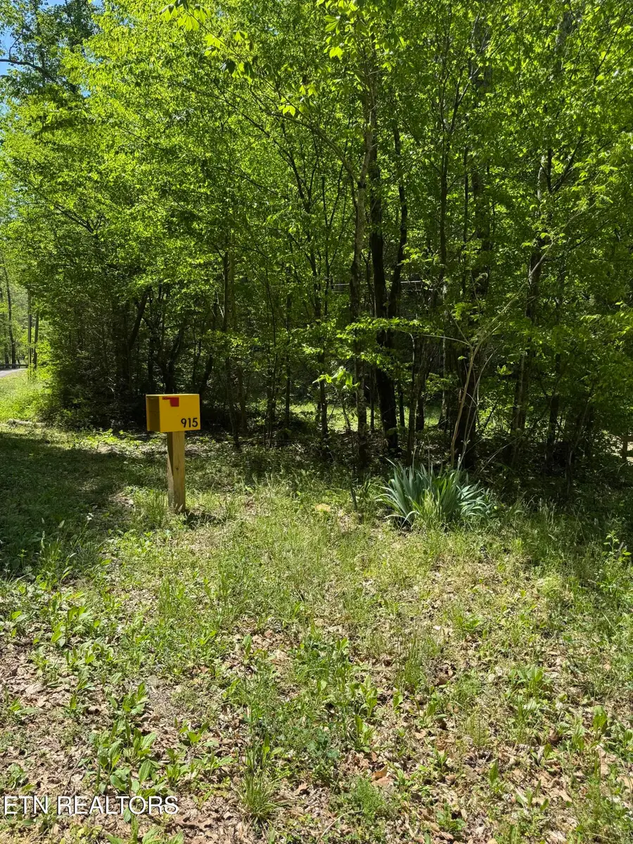 915 Chestnut Valley Rd, Vonore, TN 37885 - #2