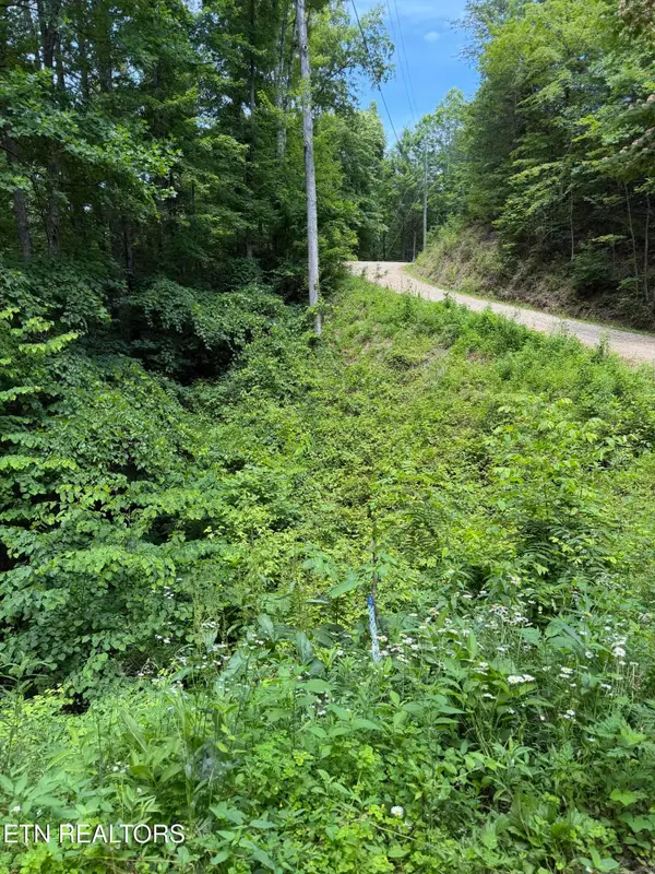 Butternut Lane, Sevierville, TN 37876