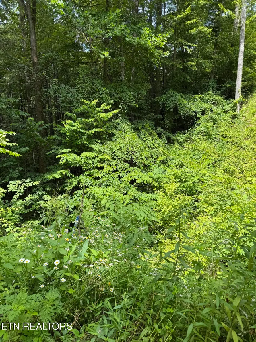Butternut Lane, Sevierville, TN 37876 - #2