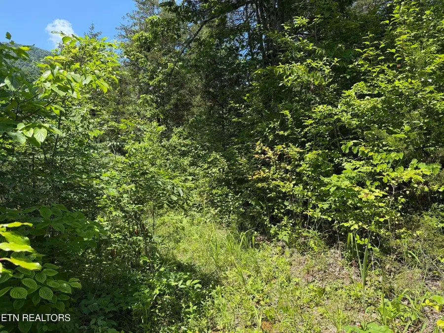 0 Mountain Shores Rd, Tazewell, TN 37879 - #3