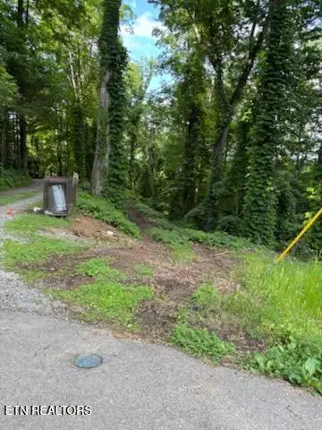 Esslinger Dr & Low Gap Rd, Gatlinburg, TN 37738 - #2