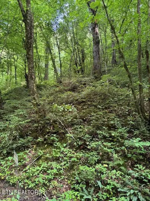 Esslinger Dr & Low Gap Rd, Gatlinburg, TN 37738 - #3