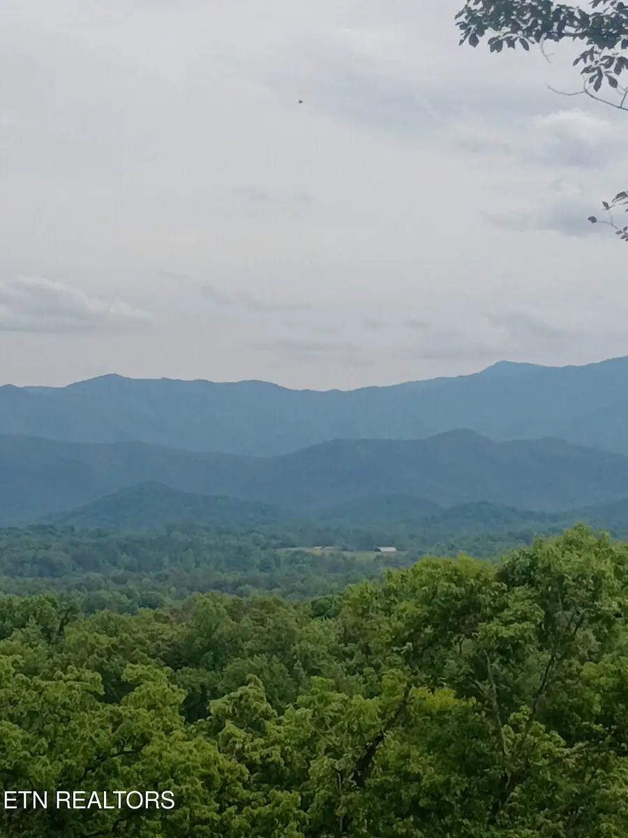 Lot 16 Moody Moon Ridge Way, Newport, TN 37821 - #3