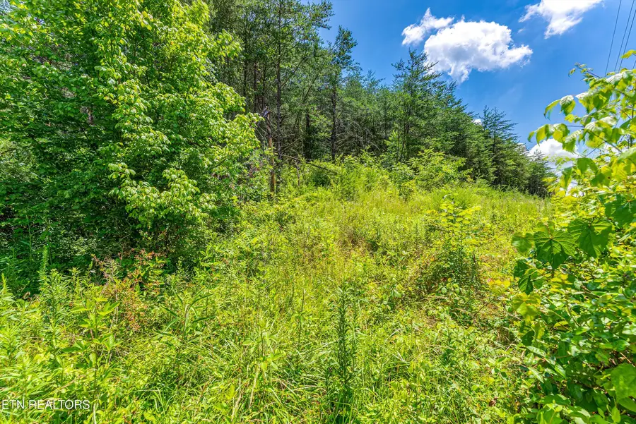 2165 Smelcer Rd, Parrottsville, TN 37843 - #2
