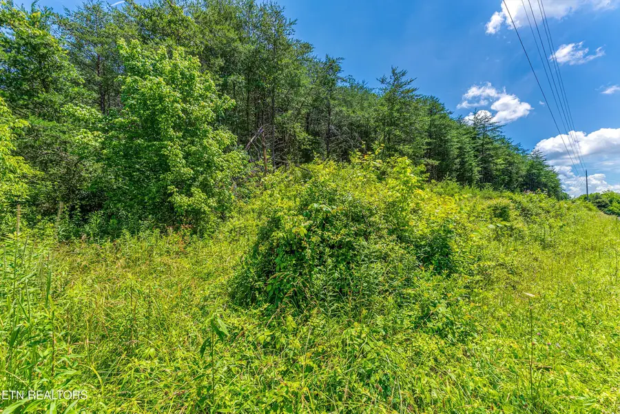 2165 Smelcer Rd, Parrottsville, TN 37843 - #3