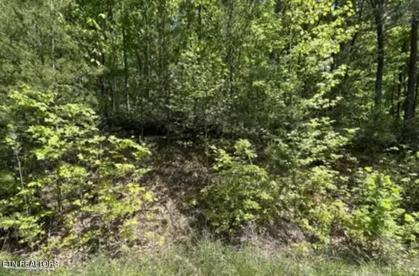 Lot 81 Yellowwood Drive, Sevierville, TN 37876