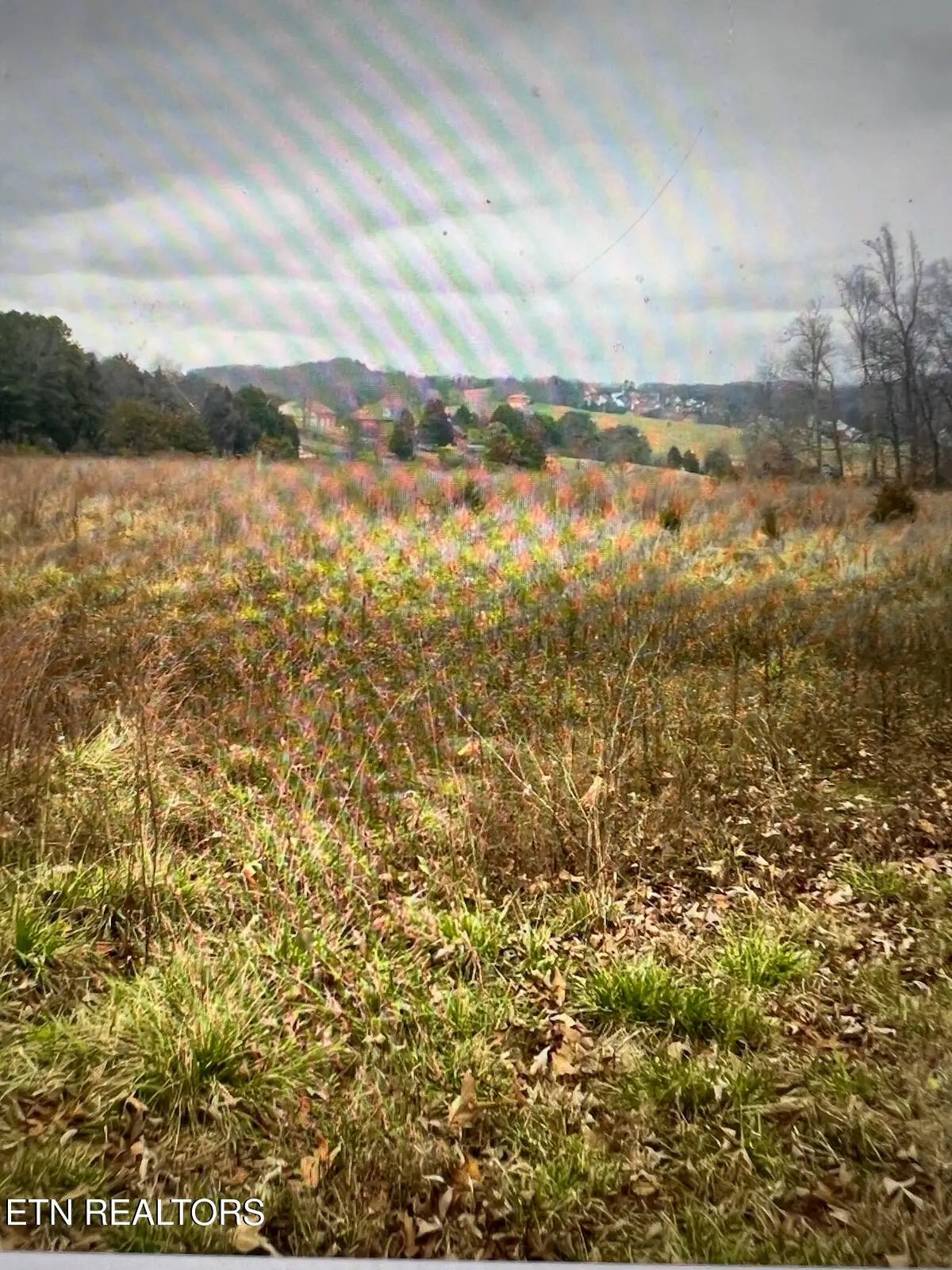 8200 Schroeder Rd, Powell, TN 37849 - #1