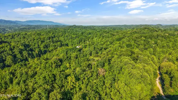 1717 Long Branch Rd, Seymour, TN 37865