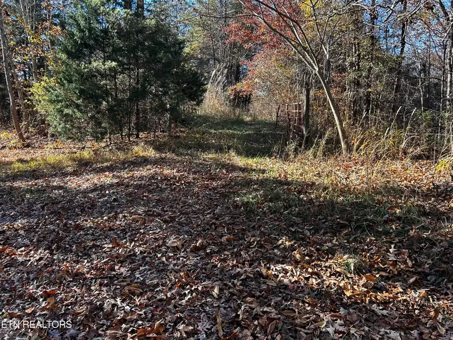 Shaddon Road Lot 2, Tellico Plains, TN 37385 - #2