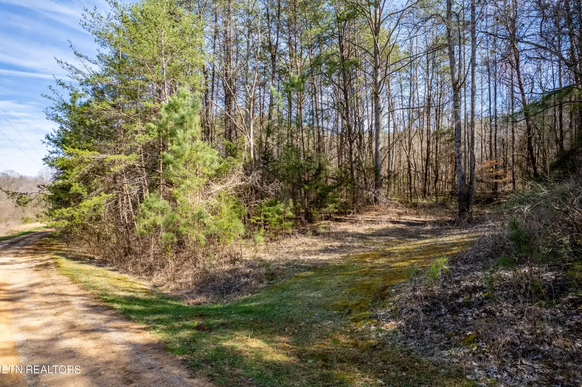 Welch Road Lot 4a, Tellico Plains, TN 37385 - #1