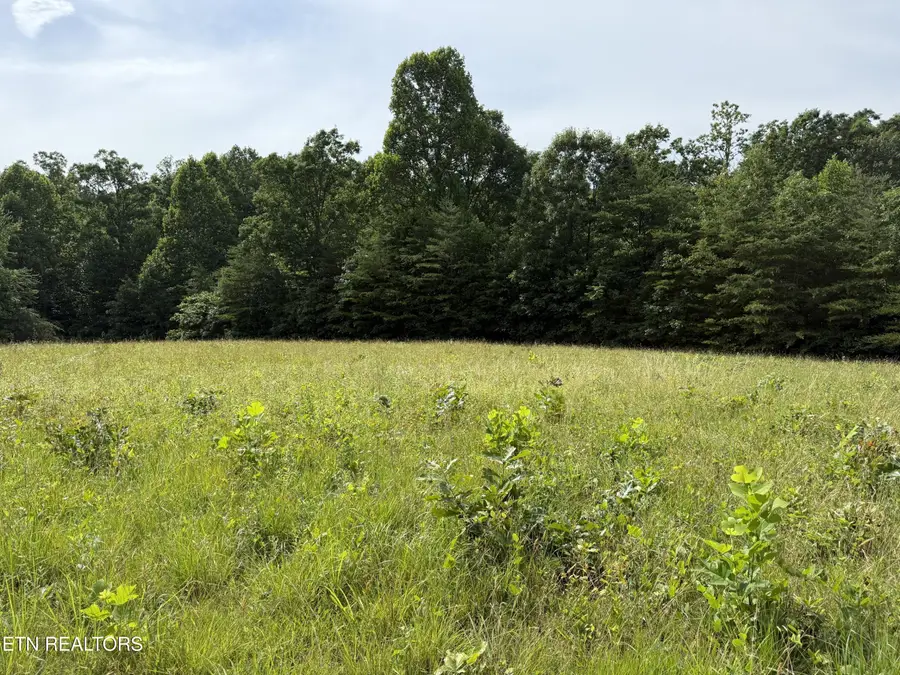Clear Creek Rd. 41 Acres, Crossville, TN 38571 - #2