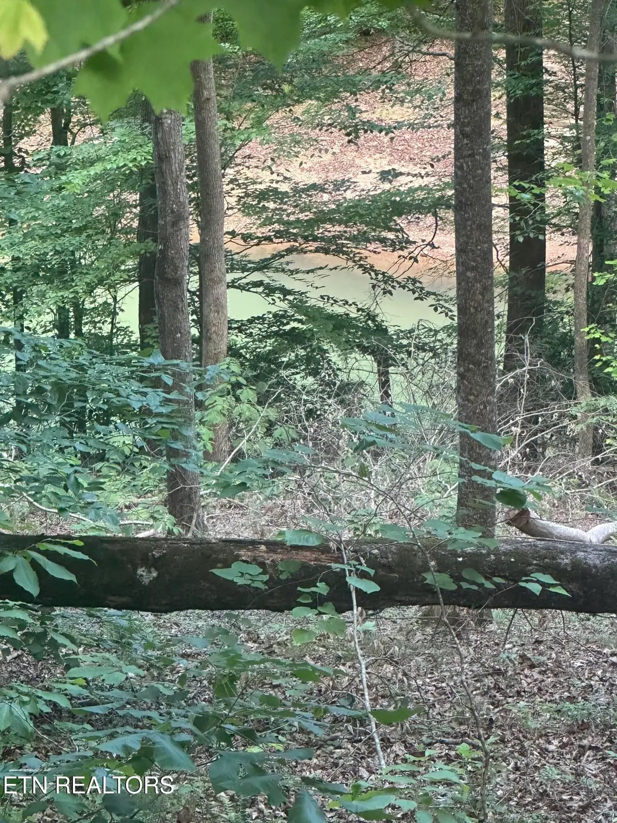 Hiwassee View - Lot 56 Drive, Jacksboro, TN 37757 - #1
