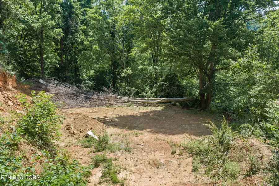 520 Verless Ogle Rd, Sevierville, TN 37876 - #3