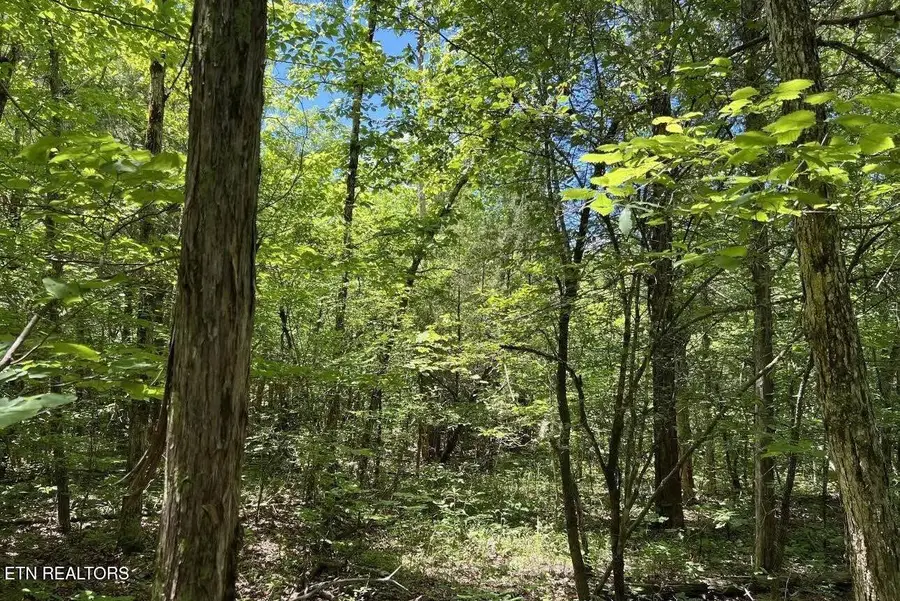 158 Eagle Ridge Rd, Kingston, TN 37763 - #2