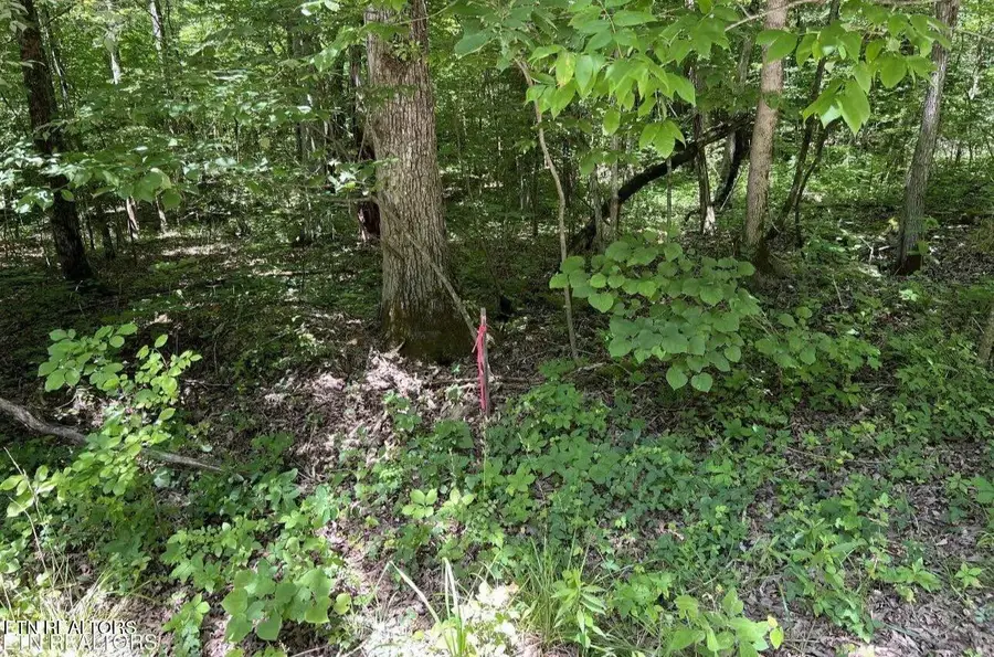 158 Eagle Ridge Rd, Kingston, TN 37763 - #3
