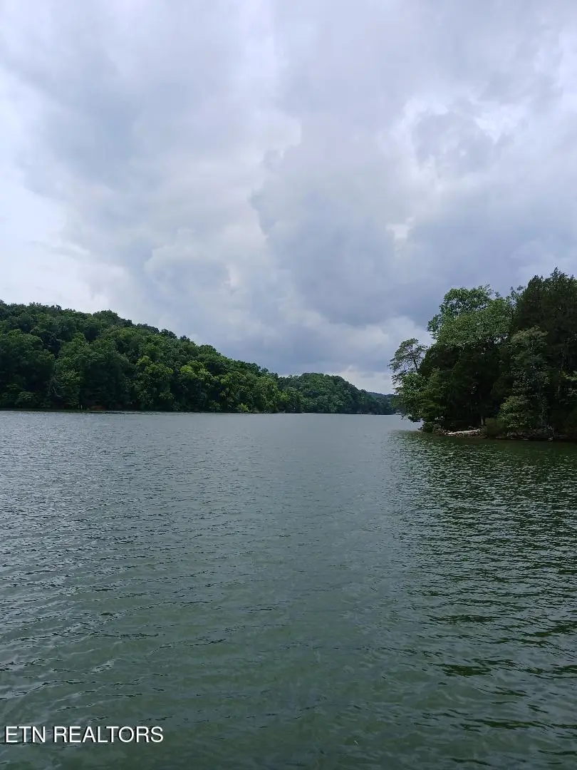 927 Windridge Rd, Friendsville, TN 37737 - #1