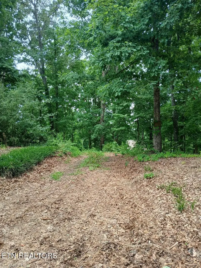 927 Windridge Rd, Friendsville, TN 37737 - #2