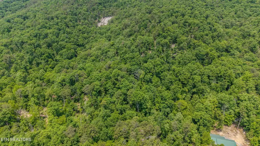 Poor Valley Rd, Rutledge, TN 37861 - #3