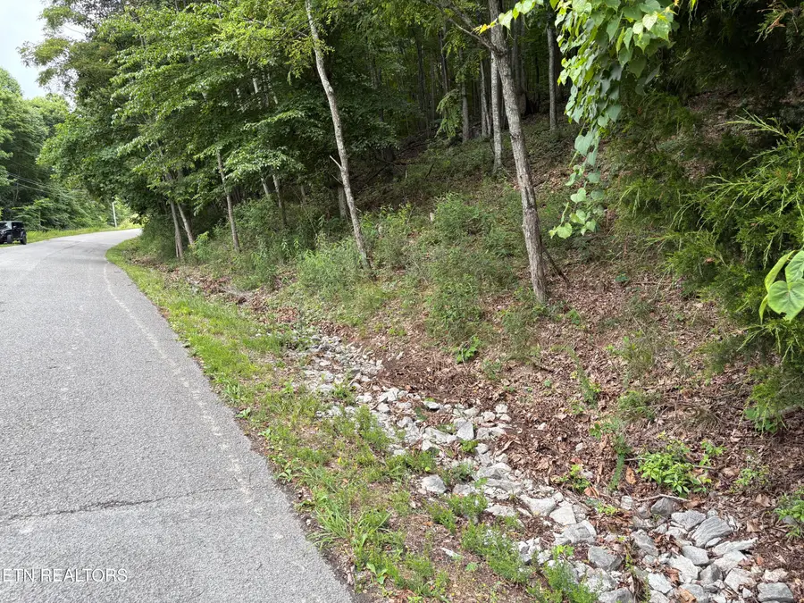 Whistle Valley Rd #130, New Tazewell, TN 37825 - #2
