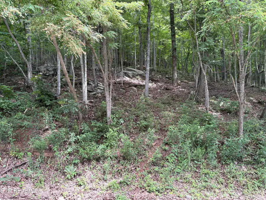 Whistle Valley Rd #130, New Tazewell, TN 37825 - #3
