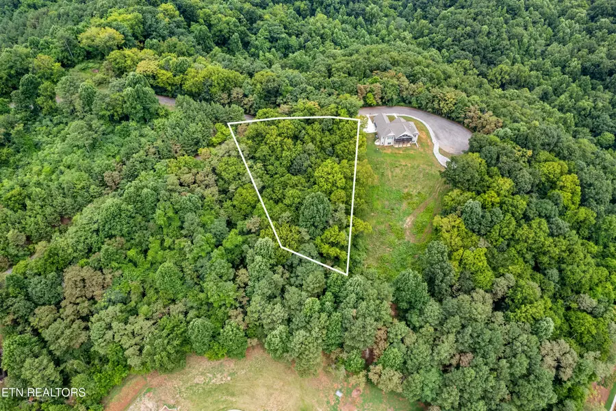 Lot 15 Overlook Way, Vonore, TN 37885 - #3