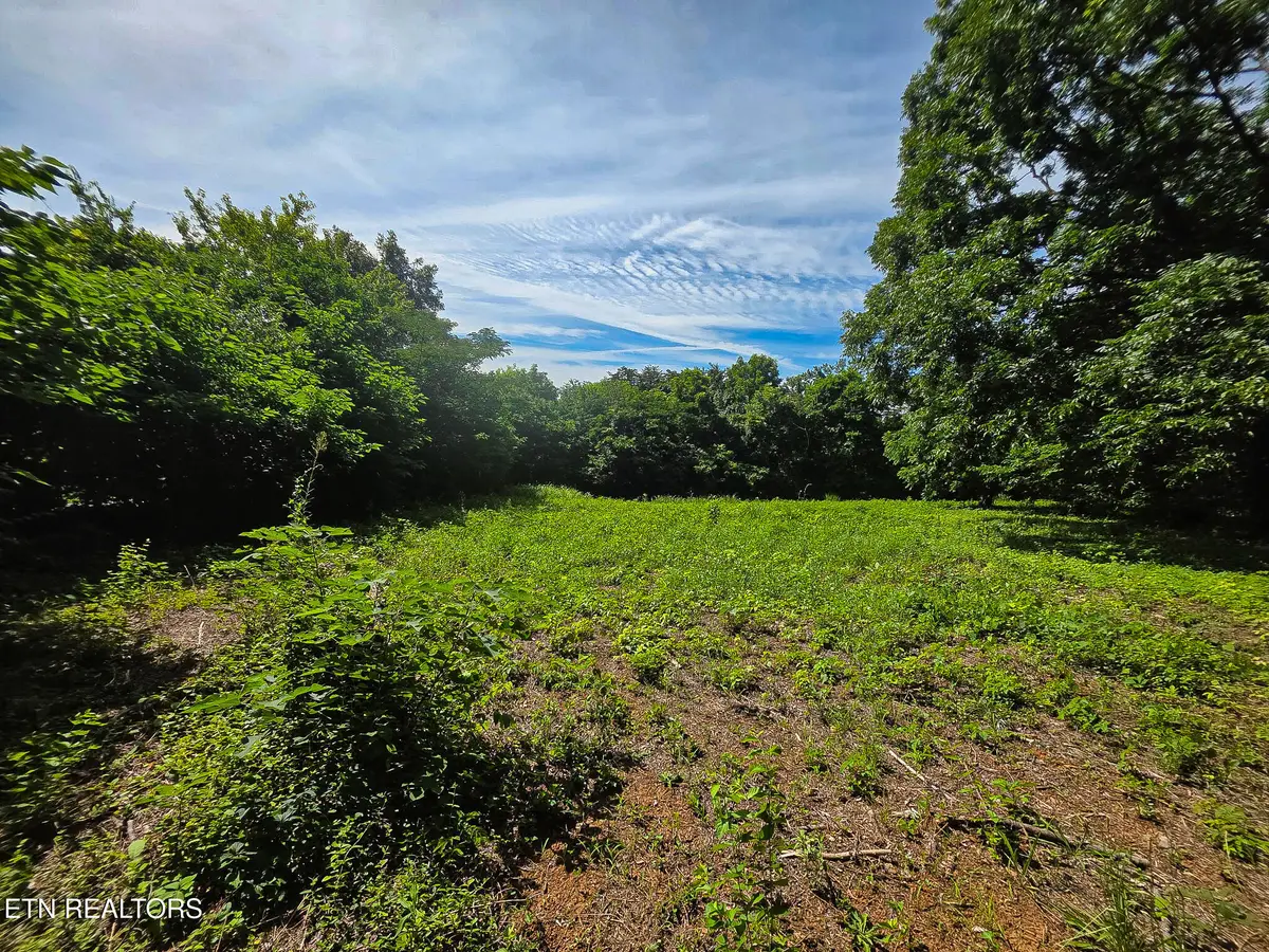 7120 Terry Drive, Knoxville, TN 37924 - #1