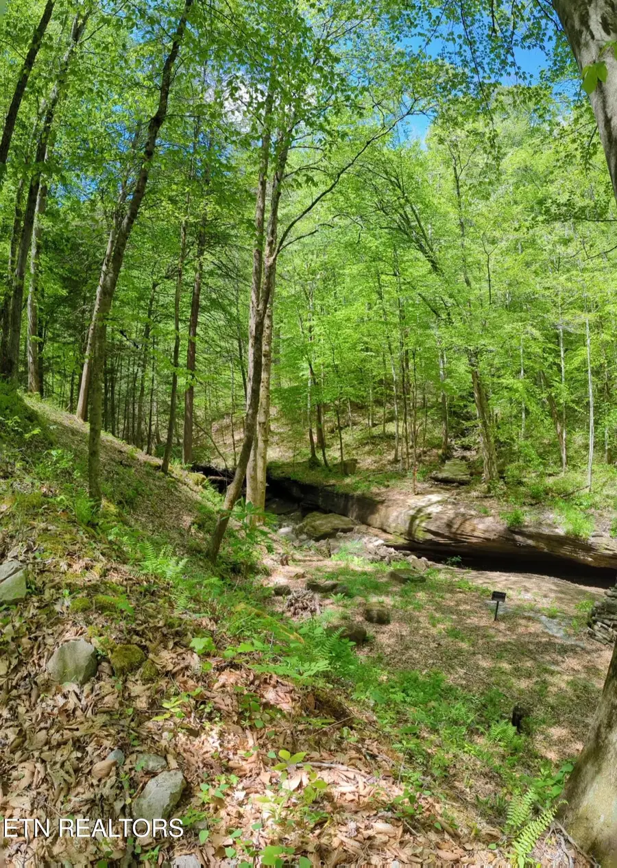 Cherokee Path, Jamestown, TN 38556 - #2