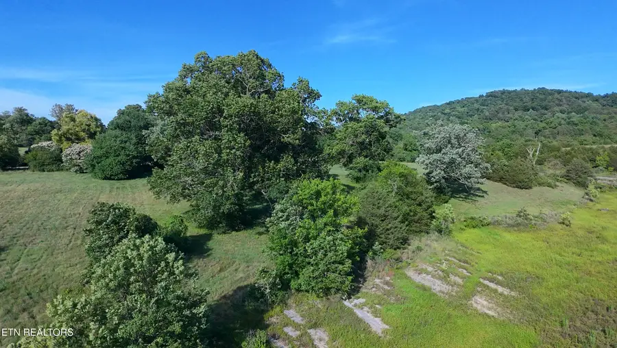 Big Valley Rd, Sharps Chapel, TN 37866 - #2