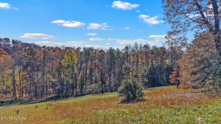 101 Copper Still Way, Madisonville, TN 37354 - #3