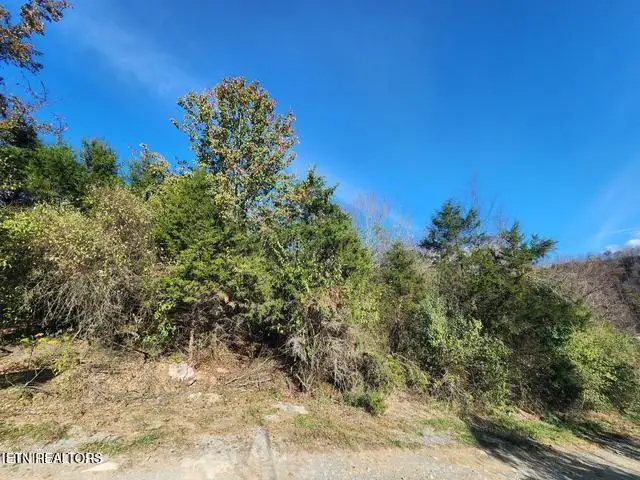 0 Shuler Drive, Pennington Gap, VA 24277 - #3