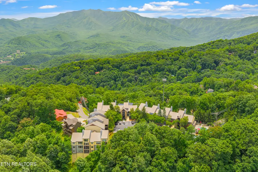 1130 Ski View Drive #UNIT 312, Gatlinburg, TN 37738 - #3