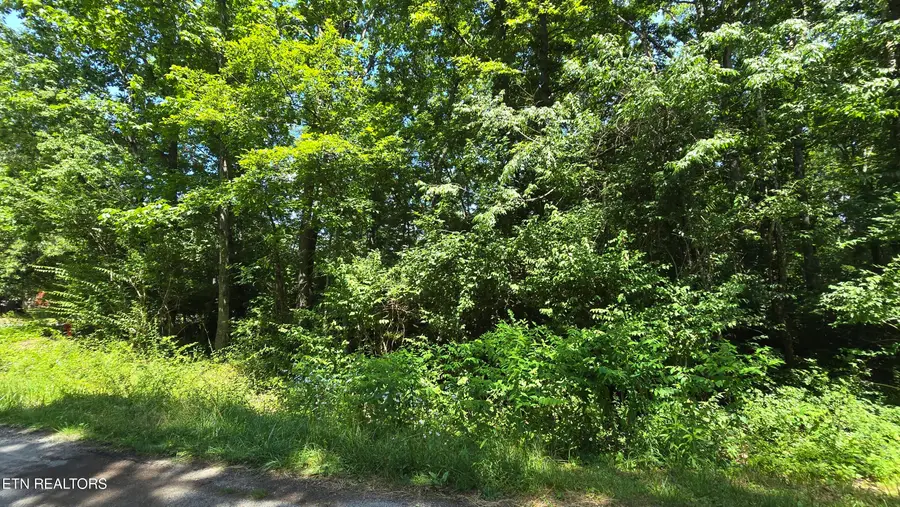200 Rhododendron Circle, Crossville, TN 38555 - #3