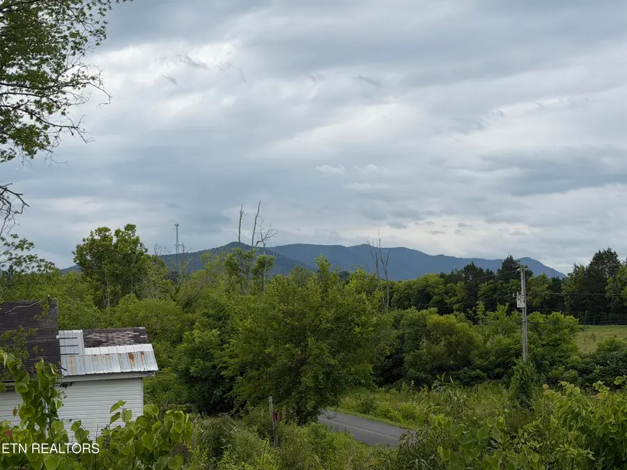 1366 Old Newport Hwy, Dandridge, TN 37725 - #2