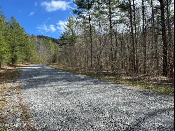 Cougar Trail Tr #18, Del Rio, TN 37727